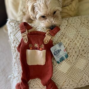 Adorable Red Dog Overalls